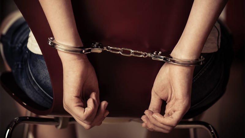Juvenile Criminal Justice System