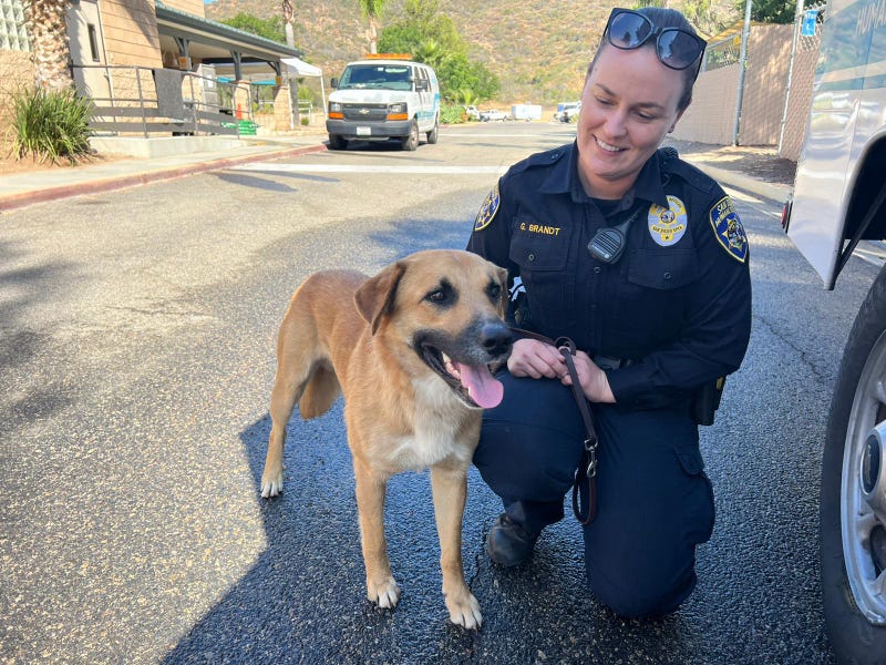  San Diego Humane Society