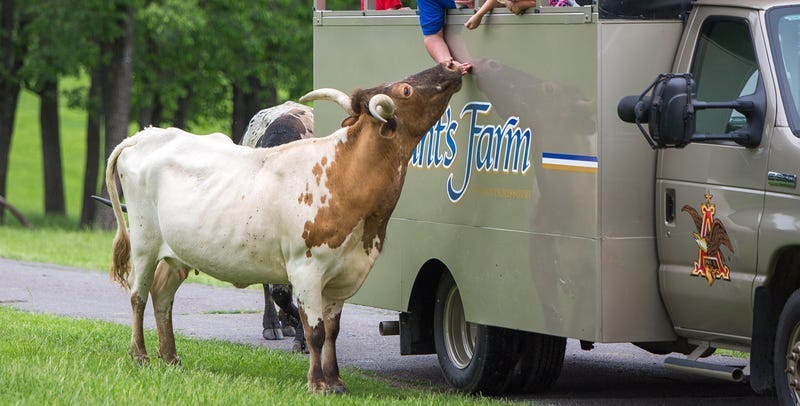 Grant's Farm