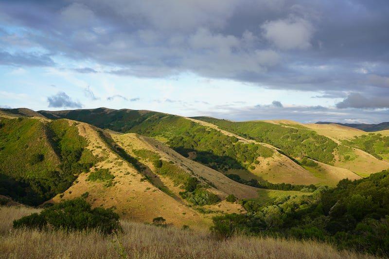 A view of the Santa Clara County land which could be developed.