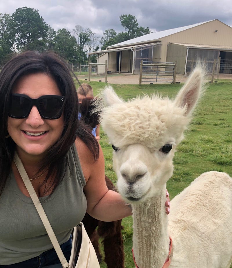 Majestic Meadows Alpaca