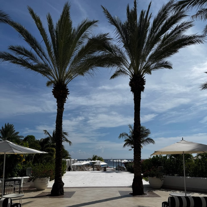 Coop's Adventures at Sandals® Royal Curaçao