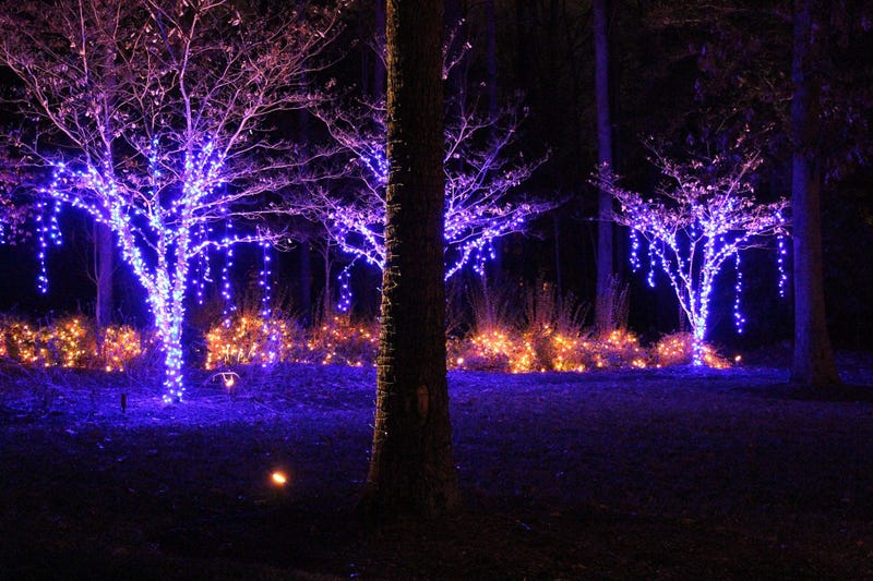 Light Up RVA
