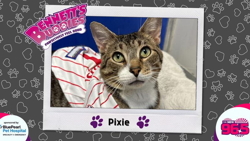 Meet Pixie! Bennett's Buddies at the PSPCA