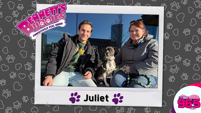 Meet Juliet! Bennett's Buddies at the PSPCA