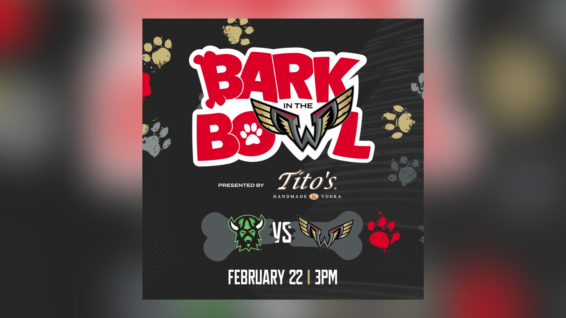 Bark in the Bowl with the Philadelphia Wings and PSPCA