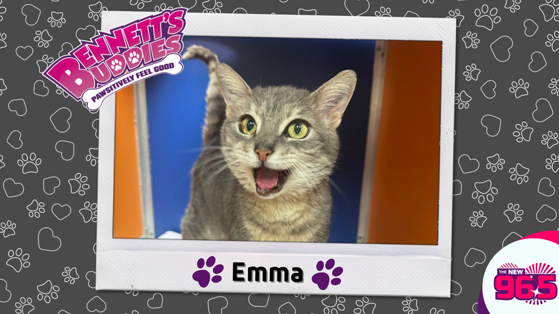 Meet Emma! Bennett's Buddies at the PSPCA