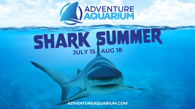 Adventure Aquarium Shark Summer 