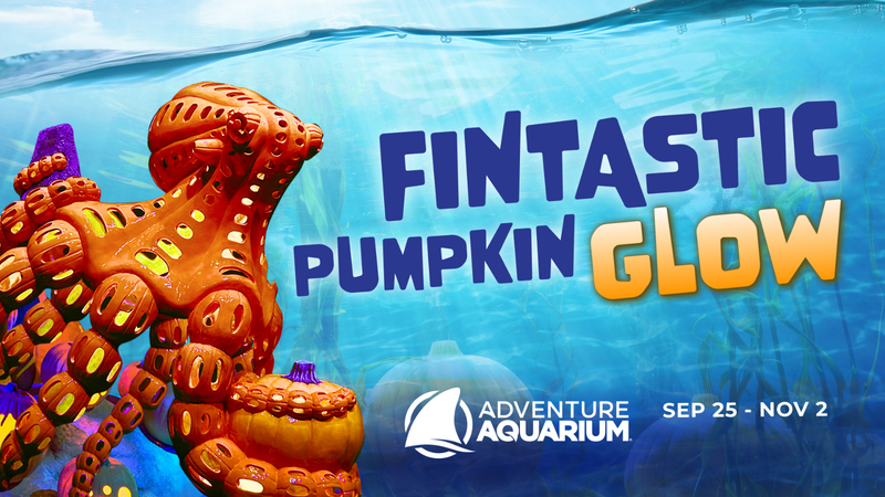 Adventure Aquarium 