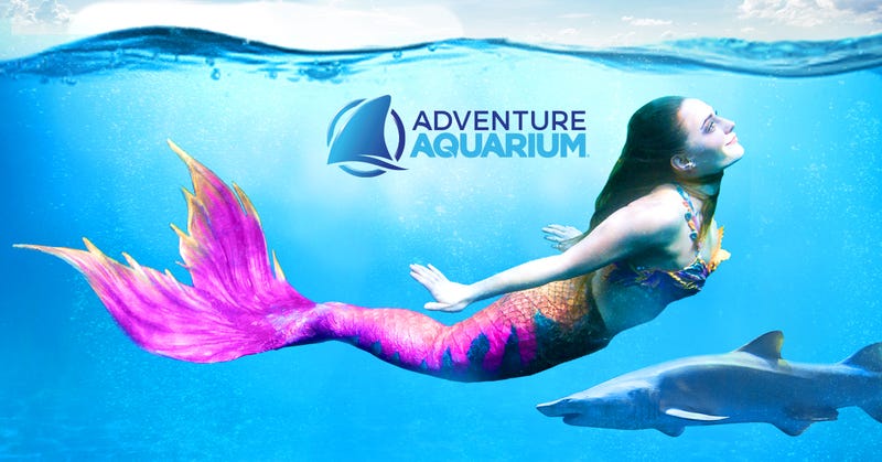 Adventure Aquarium 