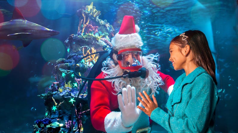 Underwater Christmas at Adventure Aquarium.