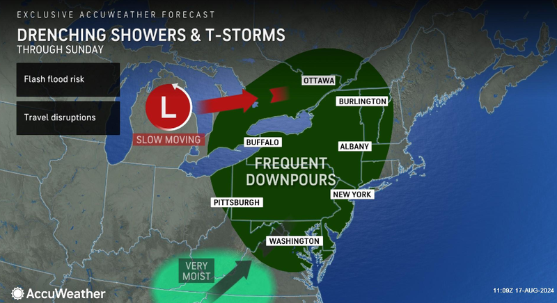 Forecast