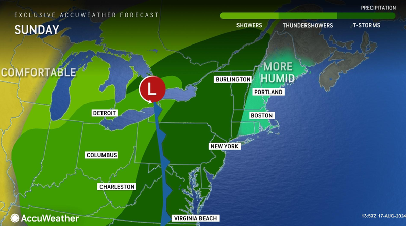 Forecast