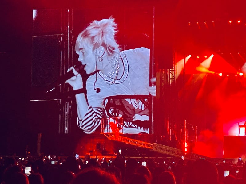 Billie Eilish-ACL Fest Weekend 2 Day 2