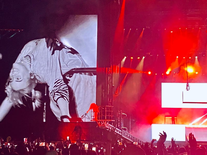 Billie Eilish-ACL Fest Weekend 2 Day 2