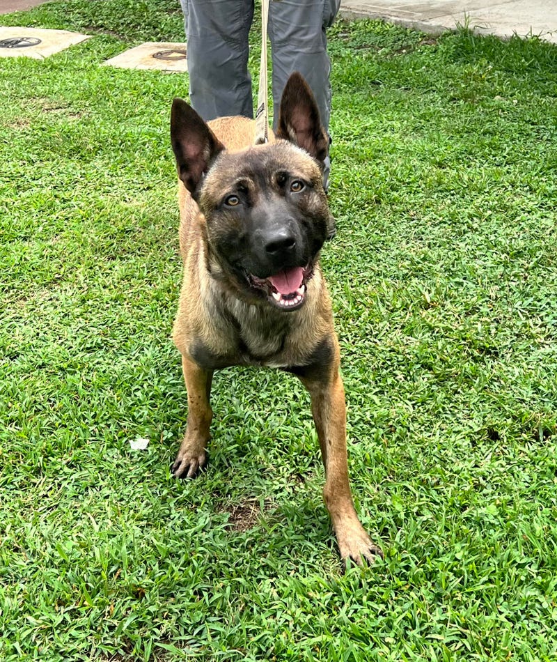 ACSO Facebook Page