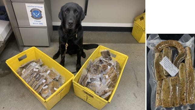 Dali the dog helps US Customs agents in Chicago seize some forbidden fruit — and meat