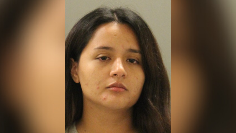 A mugshot of Alanis Pinion.