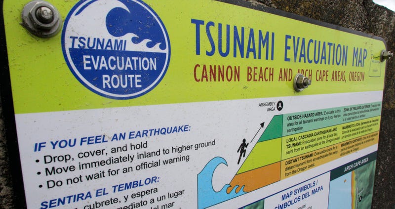 A tsunami evacuation sign in Cannon Beach, Oregon.
