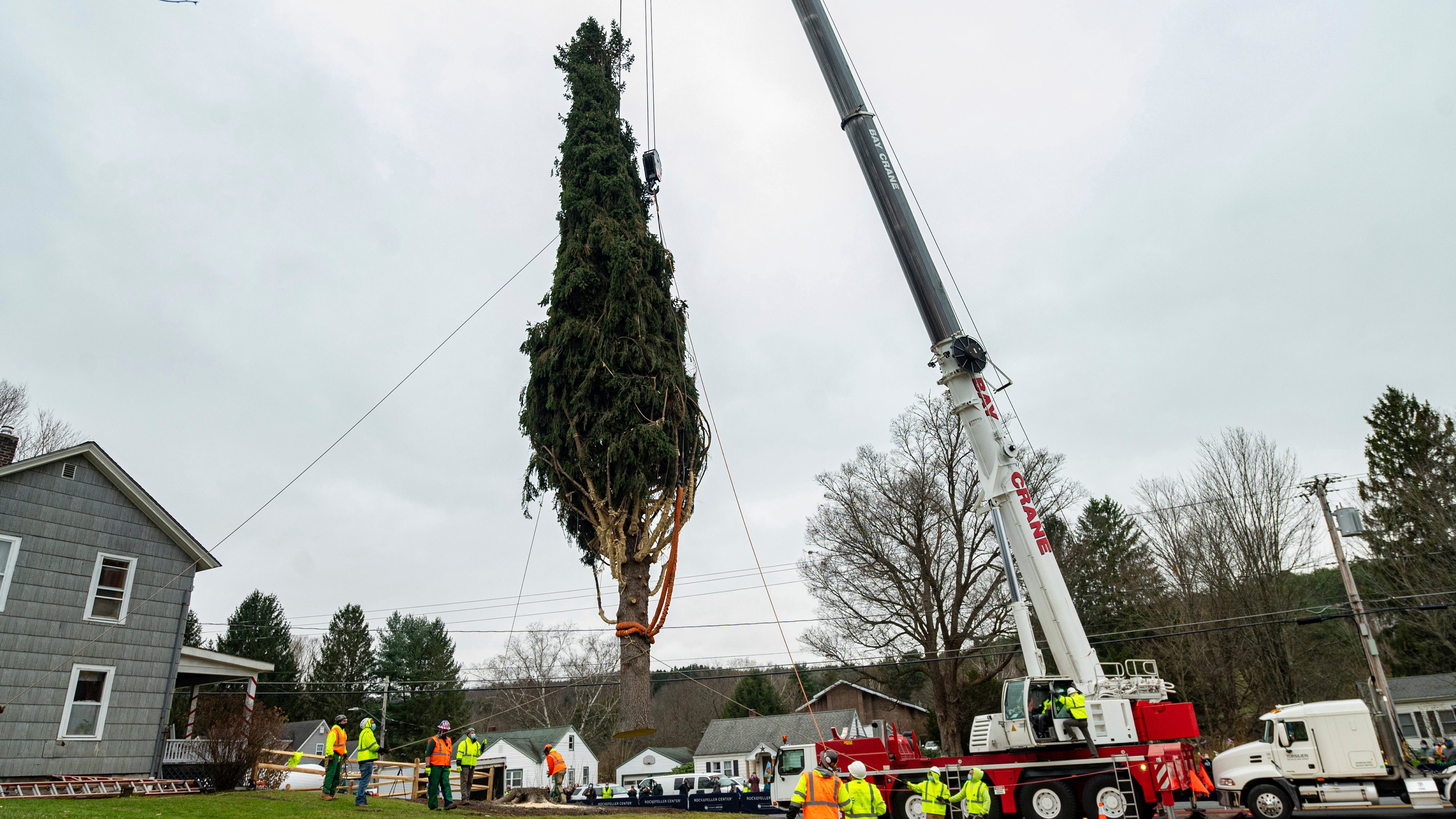 PHOTOS: 75-foot Rockefeller Center Christmas tree ready for trip to NYC