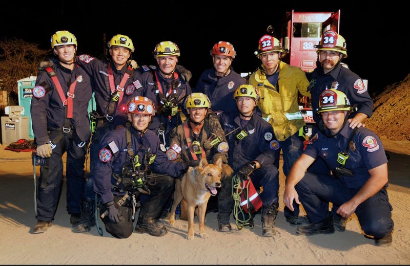 Blind dog rescued from hole at California construction site