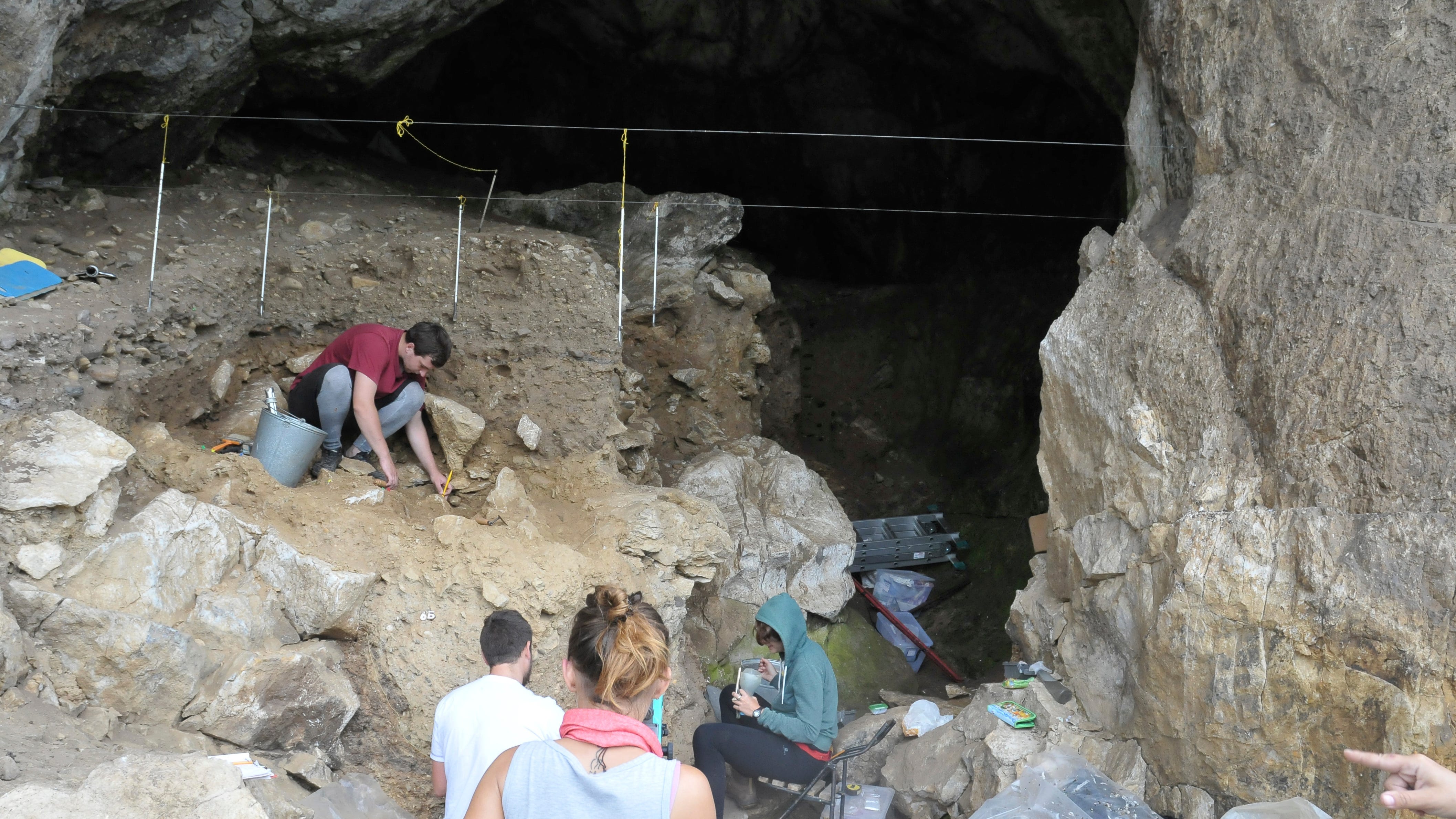 Ancient DNA gives rare snapshot of Neanderthal family ties