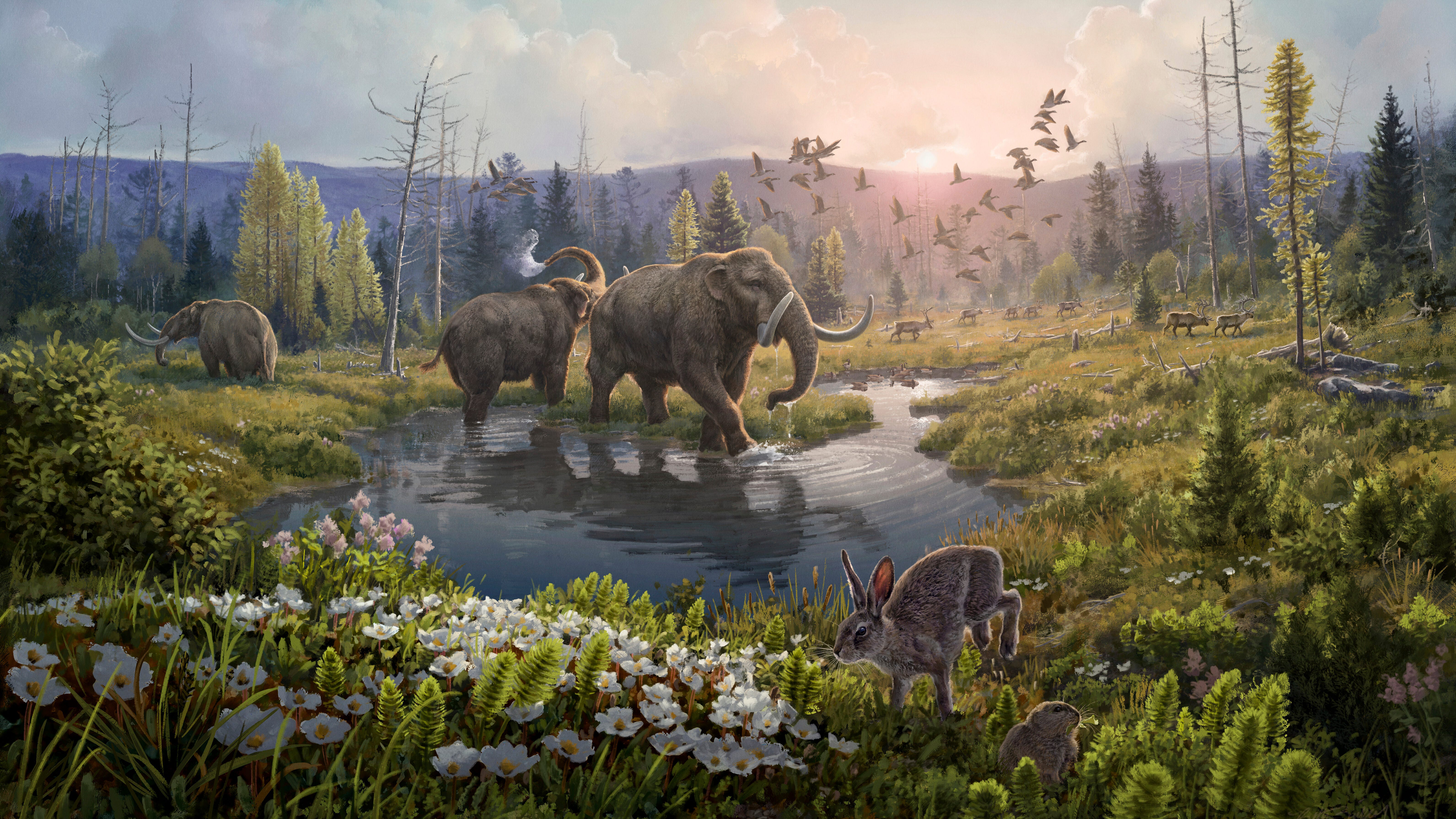 Scientists discovered oldest known DNA, use it to look back 2 million years