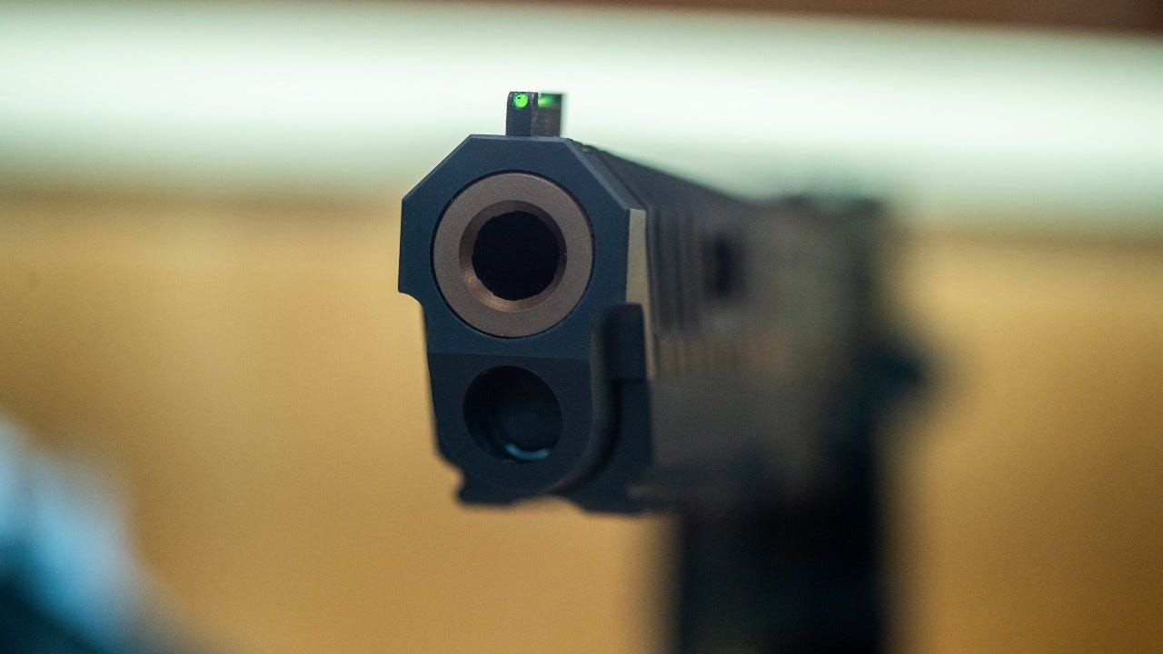 Panel: Military needs gun safety measures to limit suicides