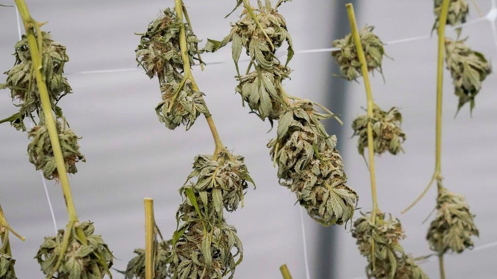 NY cannabis agencies sued by medical marijuana providers