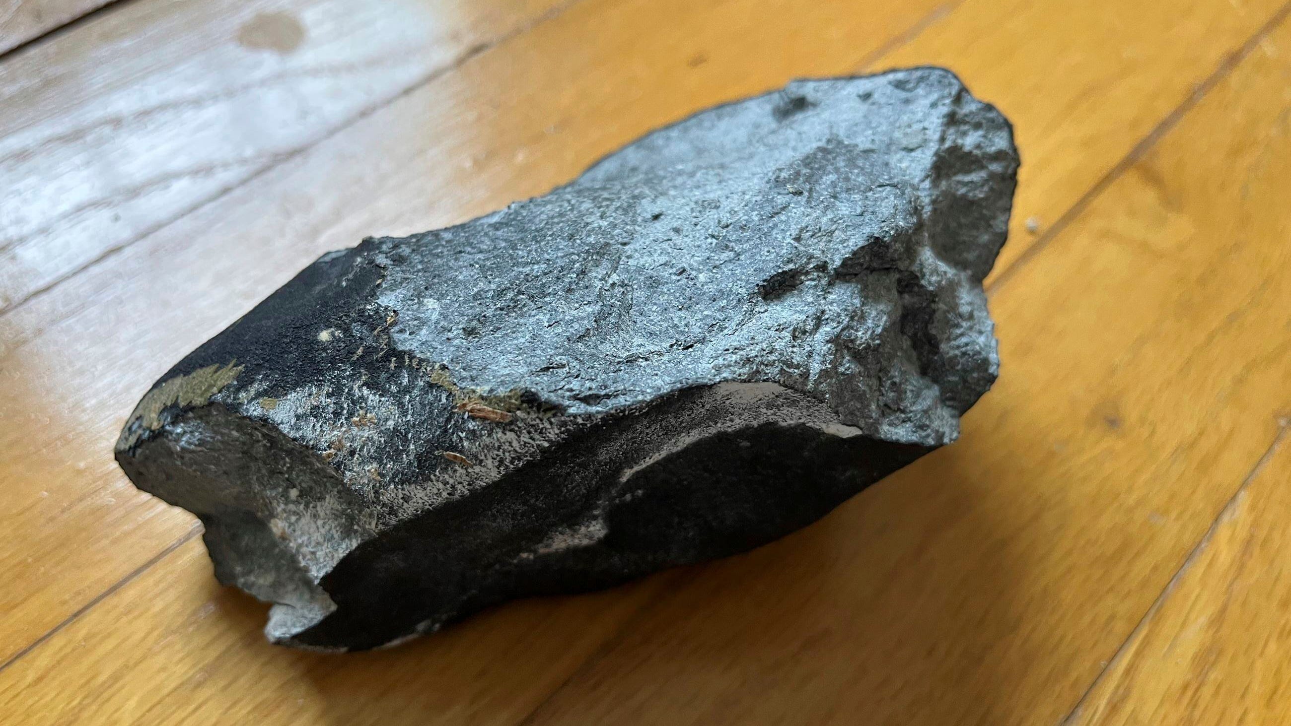 Metallic object that crashed into New Jersey home was a meteorite: experts