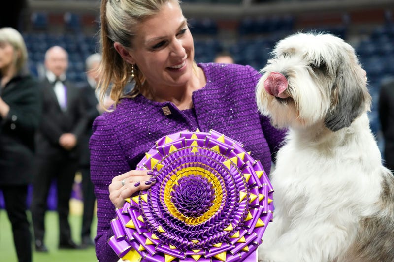 Westminster Kennel Club Dog show