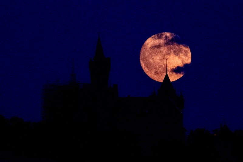 AP Photo/Matthias Schrader