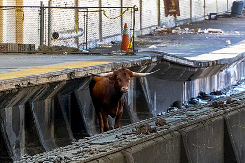 Ricardo stands on the tracks at Newark Penn Station on Dec. 14, 2023