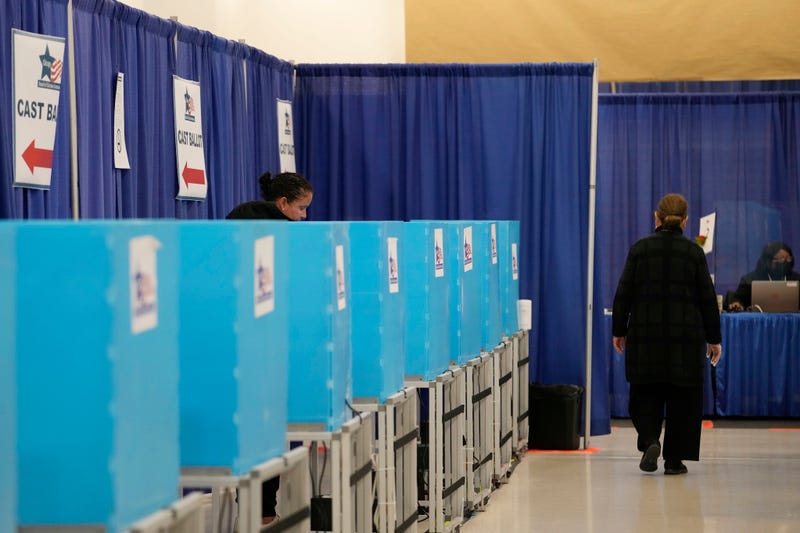 vote