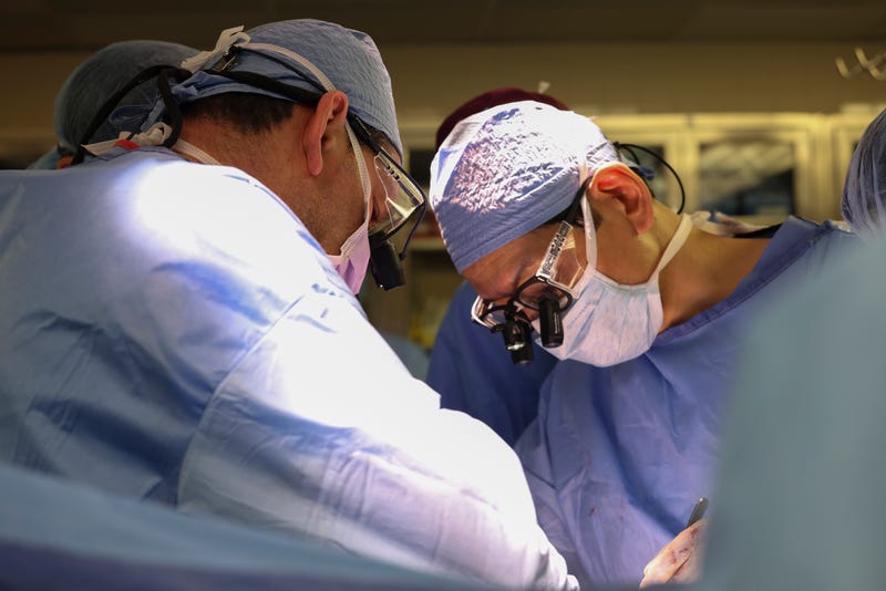 Massachusetts General Hospital transplant surgeons Dr. Nahel Elias, left, and Dr. Tatsuo Kawai perform the surgery of a transplanted genetically modified pig kidney into a living human on March 16, 2024, in Boston, Mass.