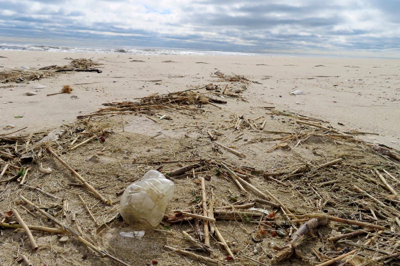A plastic bag sits on the sand in Brick N.J. on Thursday, April 4, 2024, the day that the Clean Ocean Action Environmental Group released a report showing that volunteers picked up and disposed of 176,206 items of trash along New Jersey's 127-mile coastline last year