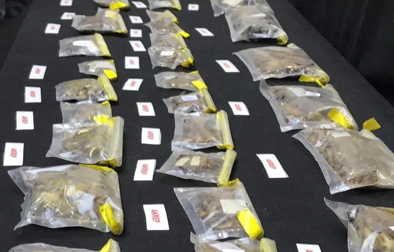 In this photo released by Turkish security, confiscated spider and scorpion samples are displayed at the Istanbul Airport, Turkey on Monday, May 13, 2024