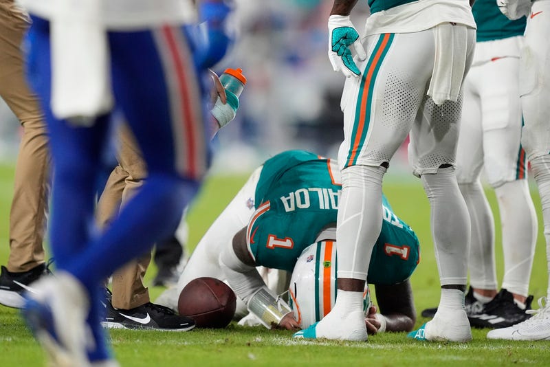 Miami Dolphins