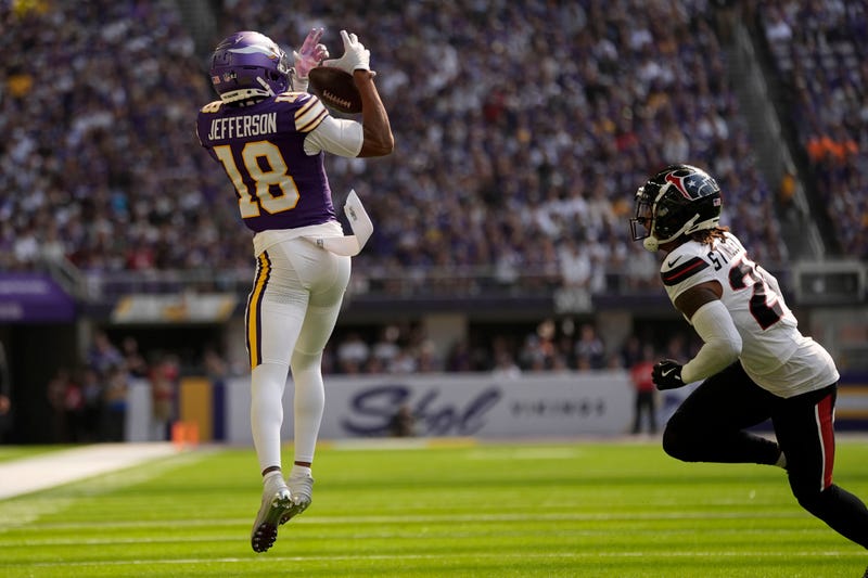 Houston Texans at Minnesota Vikings