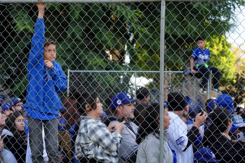 boy hanging on fence