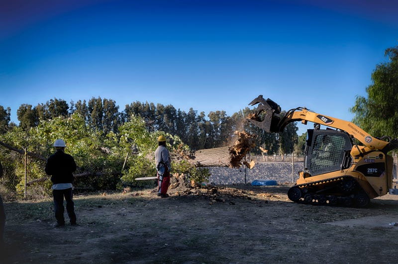 Los Angeles city workers remove the remains of a fallen tree blown over by intense winds that crushed a fence in a city park on Monday, Nov. 4, 2024. 