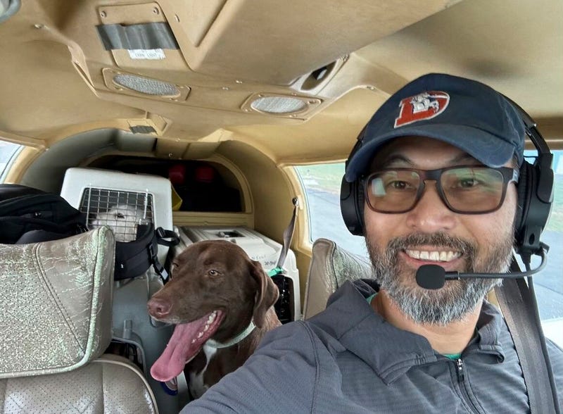 This photo released by The Animal Shelter of Schoharie Valley shows Seuk Kim during a flight to deliver dogs rescued from a euthanasia list to the Animal Shelter of Schoharie County on Nov. 11, 2024