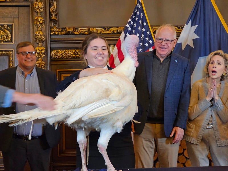 Gov. Tim Walz, second right, accepts the symbolic presentation of a turkey from Paisley VonBerge, a Future Farmers of America leader from Hutchinson, at the Minnesota State Capitol on Tuesday, Nov. 26, 2024. 