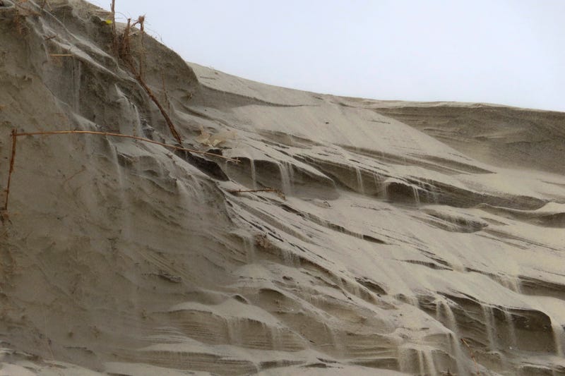 Sand cascades down the badly eroded face of a dune in North Wildwood, N.J. on Feb. 24, 2023.