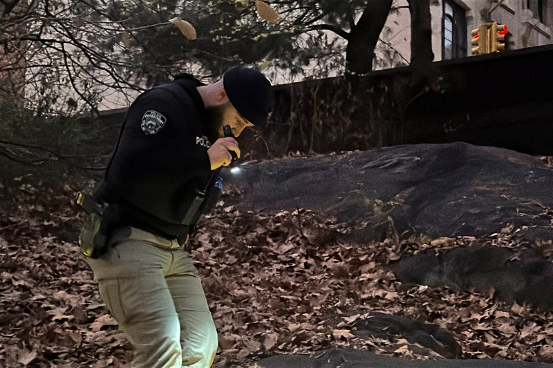 An NYPD officer walks through brush and foliage in Central Park near 64th Street and Central Park West during the investigation on Dec. 6, 2024