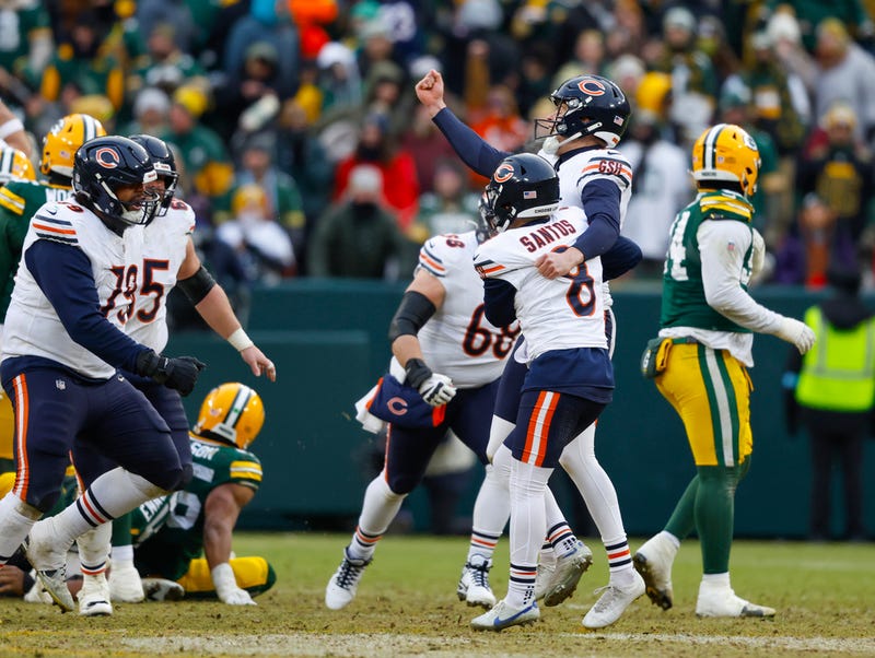 Bears