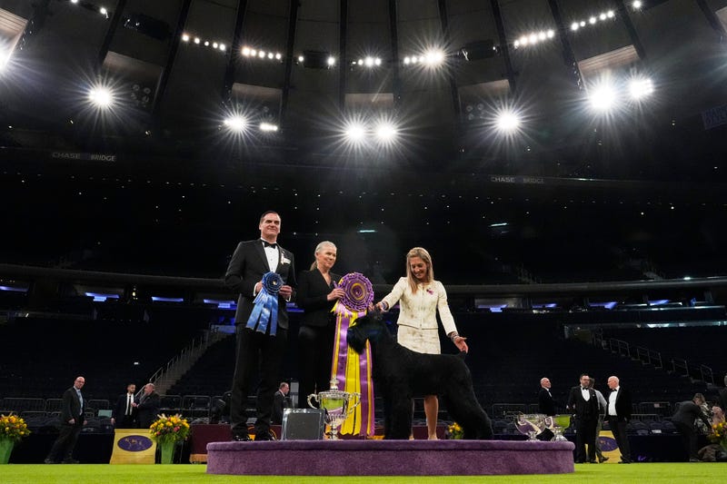 Katie Bernardin, right, and Monty, a Giant Schnauzer, celebrate after winning best in show in the 149th Westminster Kennel Club Dog show, Tuesday, Feb. 11, 2025, in New York