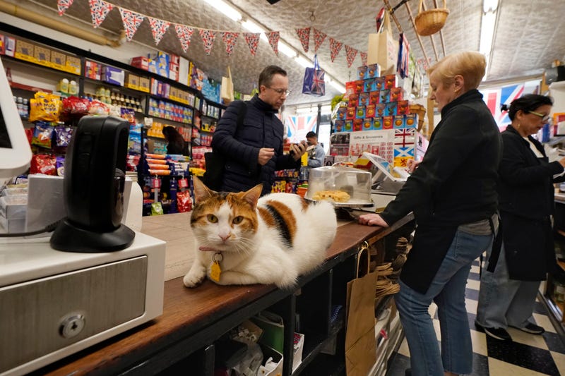 Grace sits on the counter at Myers of Keswick, as owner Irene Connelly, second from right, helps a customer in New York, Thursday, March 13, 2025