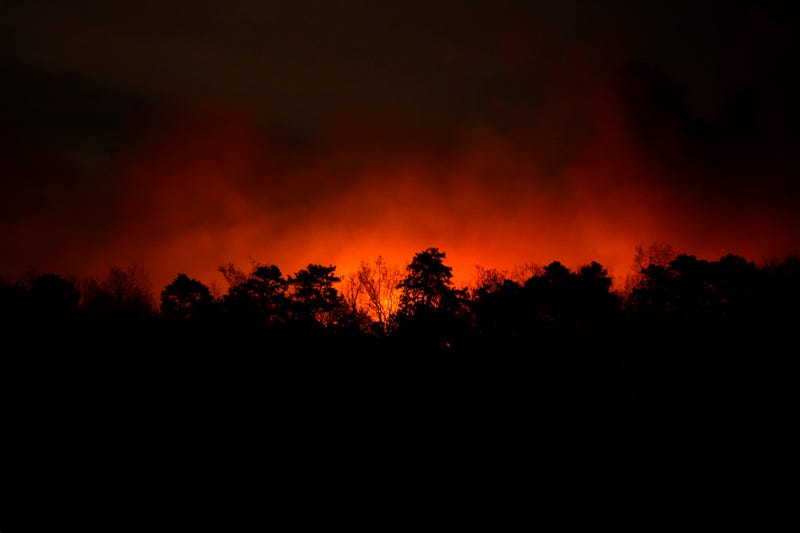 Smoke rises from a wildfire early Wednesday, April 23, 2025, near Barnegat Township, N.J.