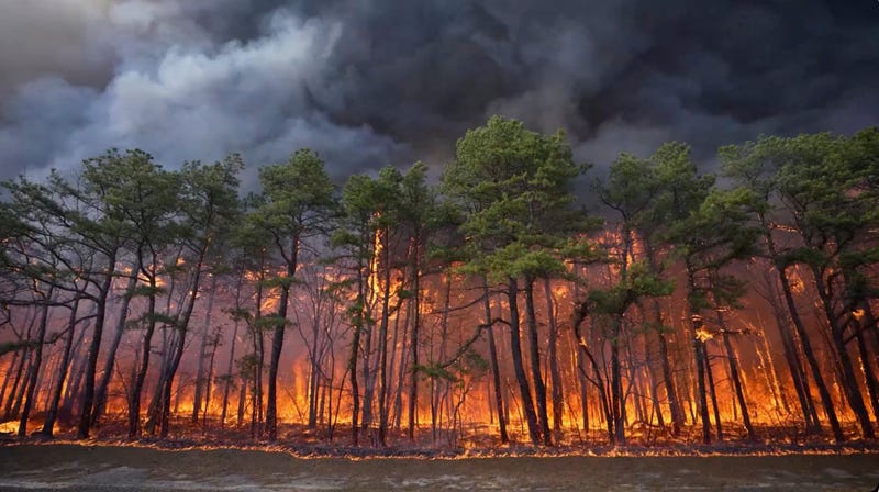 Smoke fills the sky from a wildfire in Lacey Township, N.J. on Tuesday, April 22, 2025.